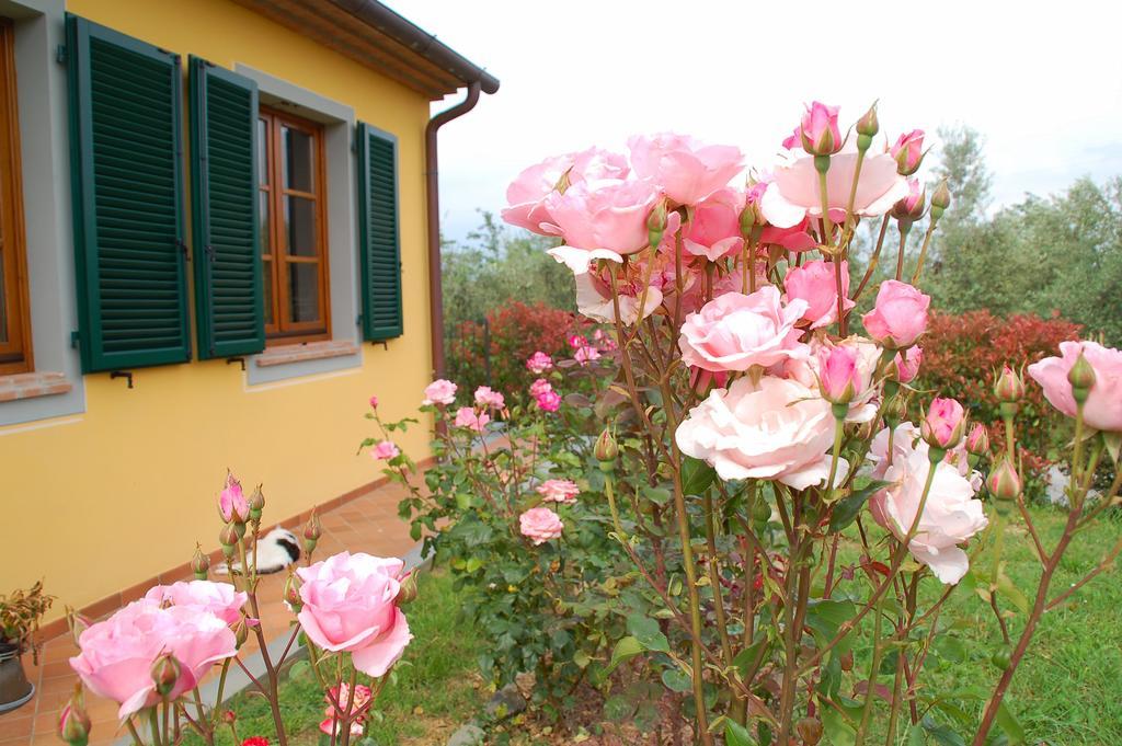 Il Podere Di Giustina Villa Montecarlo Dış mekan fotoğraf